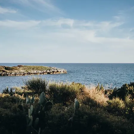 Santa Rosalia
